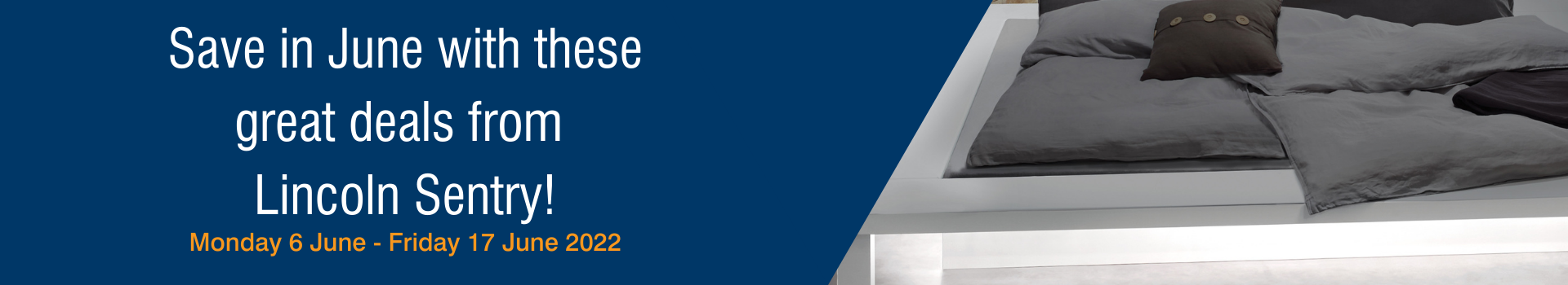 Burst Promo 1 (1920 × 350px) Carousel Banner.png